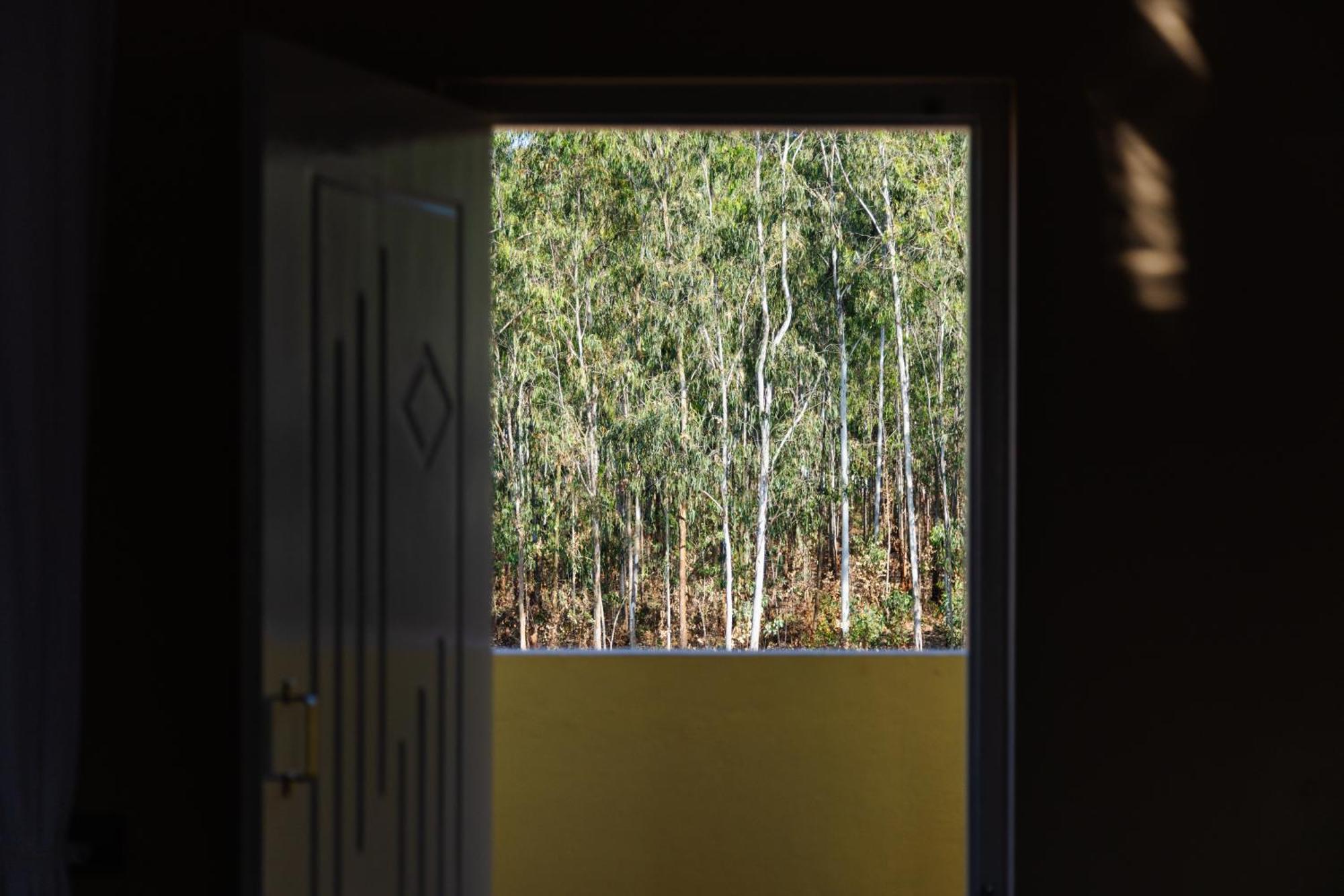Moonlight Manor- Luxury Escape Villa Bengaluru Kültér fotó